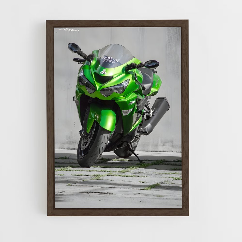 Poster Ninja Vert (vue 5)